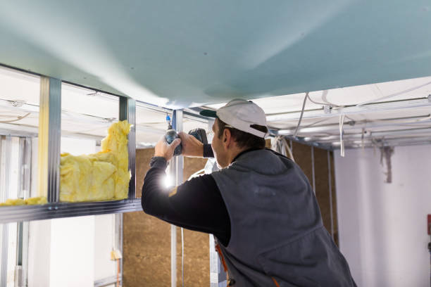 Best Insulation Maintenance and Repair in Bannockburn, IL