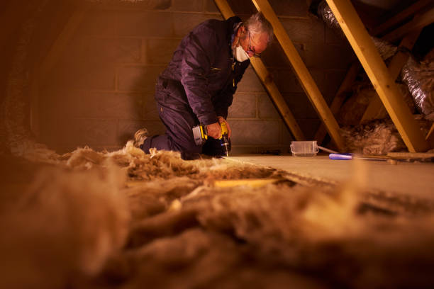 Types of Insulation We Offer in IL